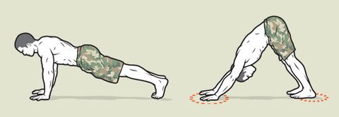 yoga high plank and downward-facing dog