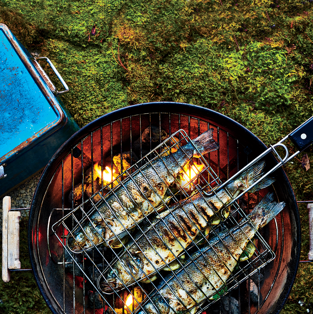 Grill Basket and Rack - Perfect for Grilling Fish and More
