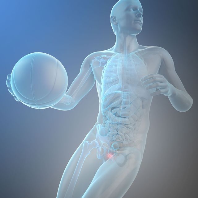 anatomical drawing of man with basketball and highlighted prostate