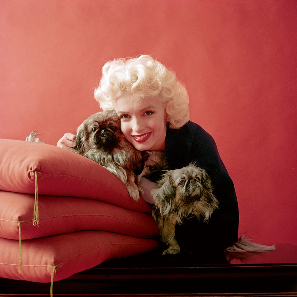 Marilyn Monroe
