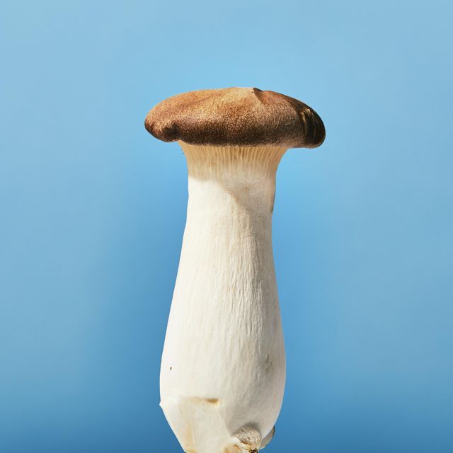 Pleurotus eryngii, Mushroom, Edible mushroom, Penny bun, Bolete, Oyster mushroom, Russula integra, Matsutake, Shiitake, Agaricomycetes, 