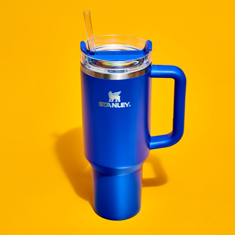 vacation stanley quencher h2 dot 0 flowstate tumbler