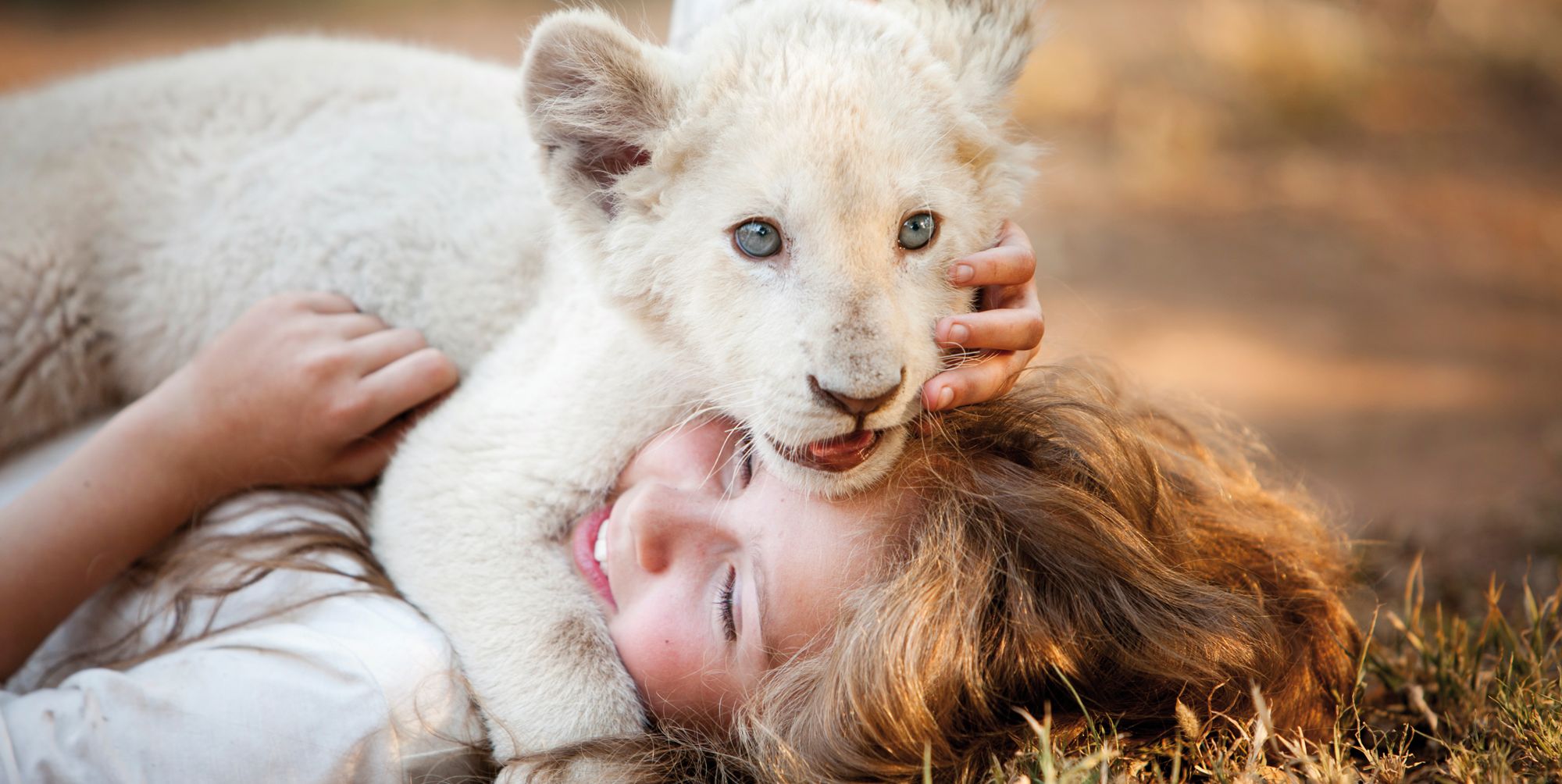 mia y el leon blanco