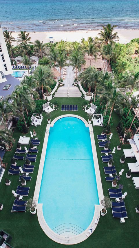 Swimming pool, Resort, Hotel, Building, Leisure, Plant, Vacation, Palm tree, Estate, 