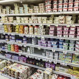 miami beach, florida, publix grocery store supermarket, refrigerated dairy case, yogurt yoghurt chobani