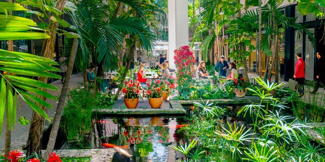 Louis Vuitton City Guide Miami Floral