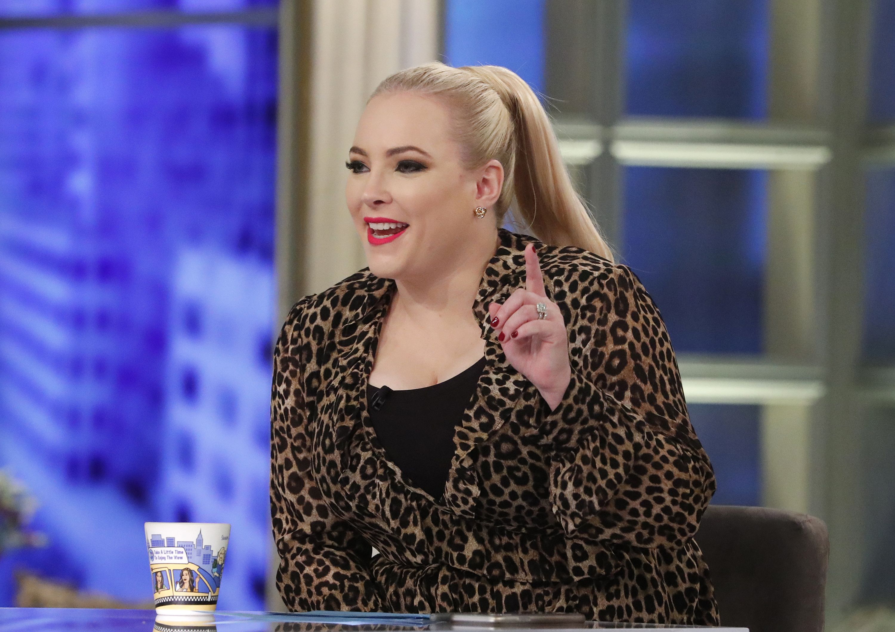 The Best Times Meghan McCain Mentioned Her Dad on The View picture picture