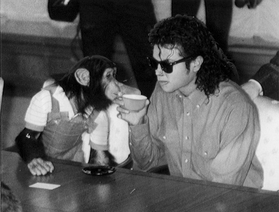 Michael Jackson enjoys a cup of tea with his pet Bubbles at Osaka City Mayoral Hall on September 18, 1987 in Osaka, Japan.