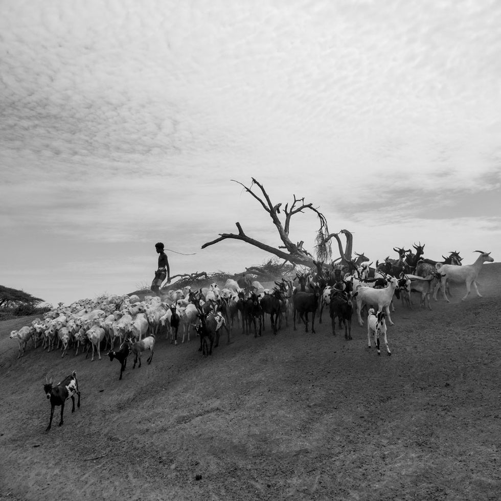 Michael Tsegaye, fotografo etiope, Africa