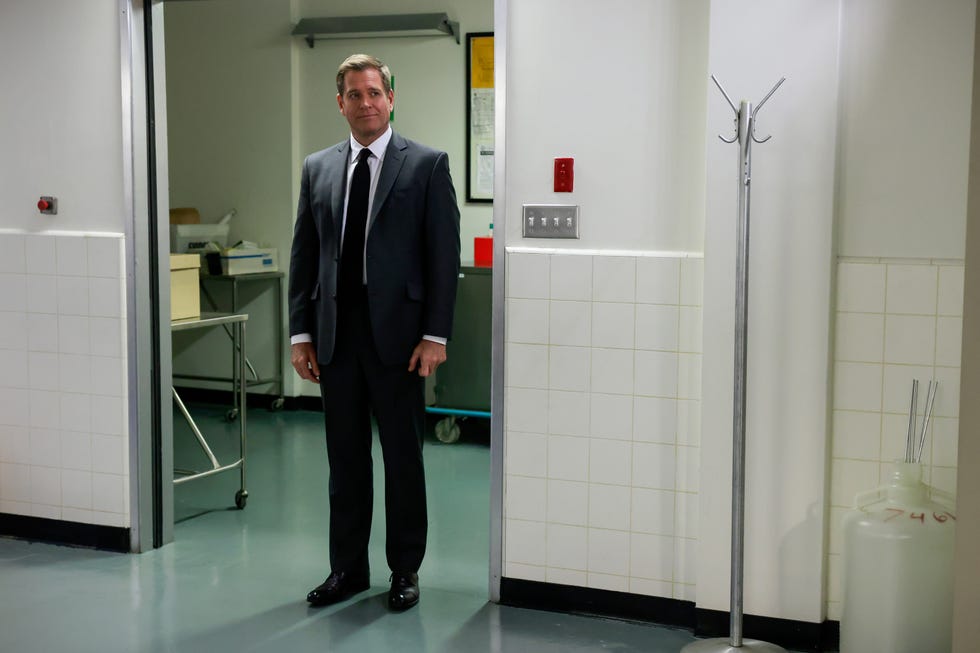 michael weatherly como anthony dinozzo, ncis