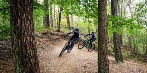 twee mountainbikers rijden door het bos over een bospad
