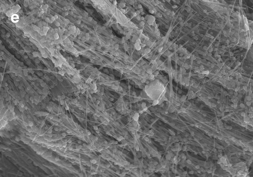 Een monster van de Sirena Deep gezien door een rasterelektronenmicroscoop Fijne vezels kunnen worden waargenomen samen met koolstofrijke structuren wat wordt genterpreteerd als mogelijk bewijs voor bacteriologische groepen