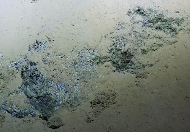 Tijdens de 2012 DEEPSEA CHALLENGEexpeditie naar de Marianentrog werden vezelachtige structuren ontdekt waarvan men vermoedt dat het een bacteriologische levensgemeenschap is De structuren bevonden zich op een dagzomende aardlaag in de Sirena Deep iets minder dan 11000 meter beneden zeeniveau