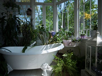 badkamer planten