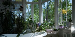 badkamer planten