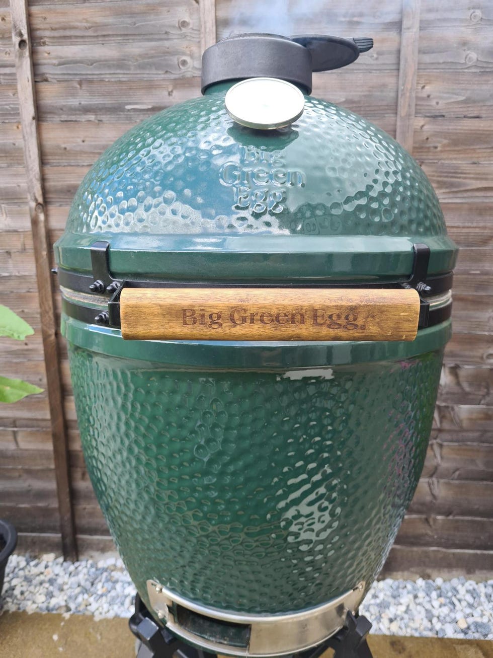 big green egg review