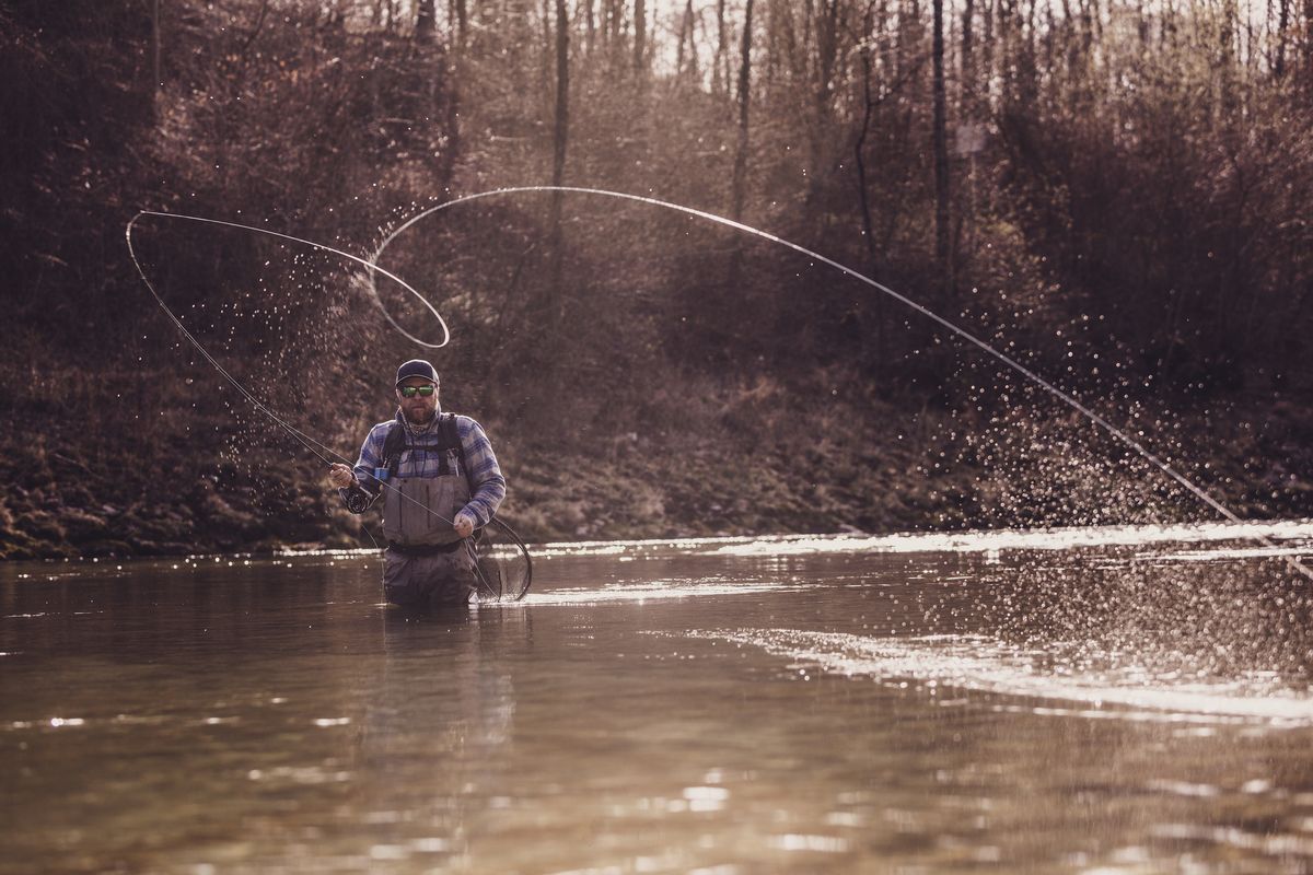 How to Reel in a Fish on a Fly Rod: Mastering the Art of Landing Your Catch
