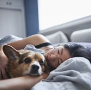 mid adult woman lying in bed with dog