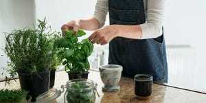 Mid section of person cutting herbs