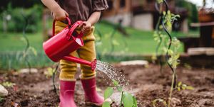 a midsection of portrait of cute small child outdoors gardening