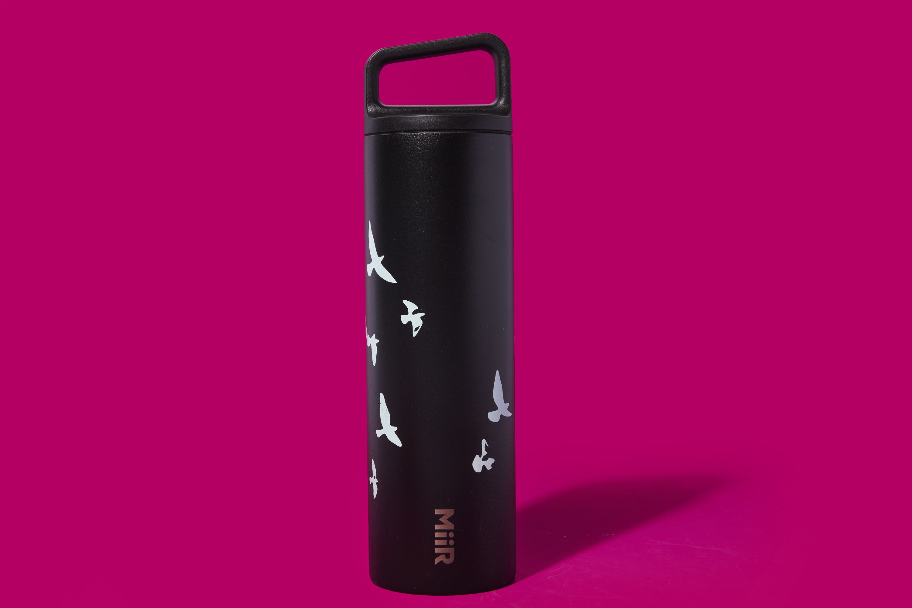 Miir Water Bottles Review