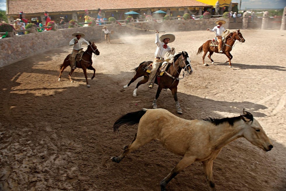 In heel CentraalMexico wordt de ruiterkunst gevierd in rodeos Nadat de charros cowboys hun behendigheid hebben getoond gaat het publiek de dansvloer op