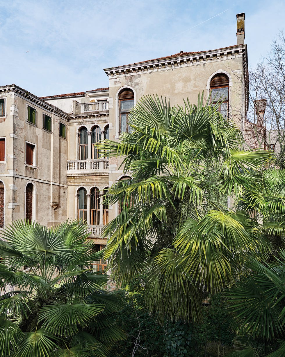 Vegetation, Tree, Architecture, Building, Palm tree, House, Botany, Facade, Arecales, Woody plant, 