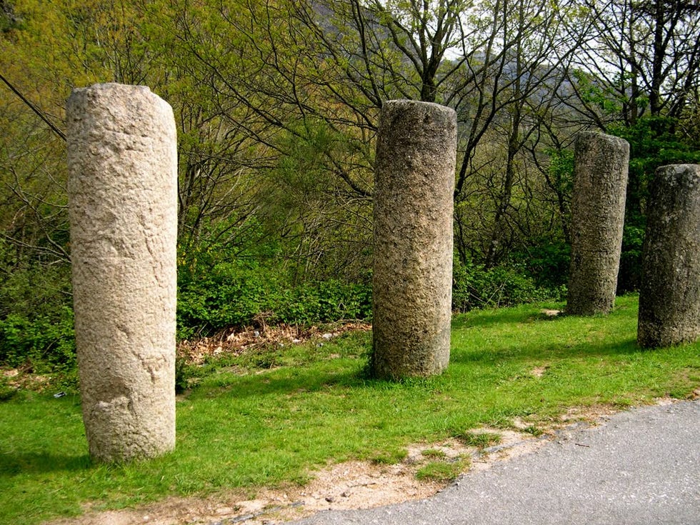 Tree, Rock, Grass, Grass family, Trunk, Wall, Plant, Megalith, Shrub, Ancient history, 