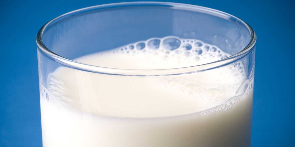 Milk, Lactose, Water, Raw milk, Dairy, Drink, Grain milk, Rice milk, Soy milk, Hemp milk, 