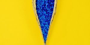 Milk Weed Pod with Blue Seeds