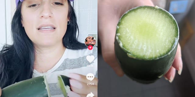milking cucumber tiktok