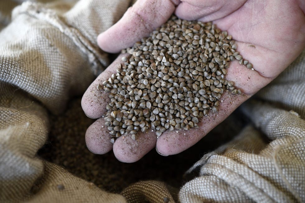 france industry mill buckwheat