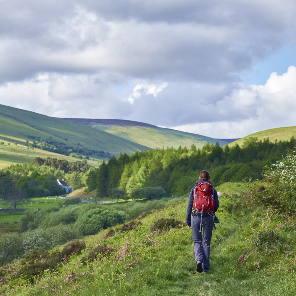 a woman walking in the cheviot hills in northumberlands national park