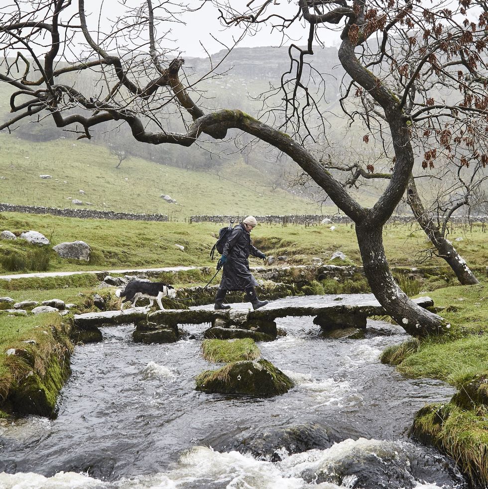 person walking in nature crossing a small running stream