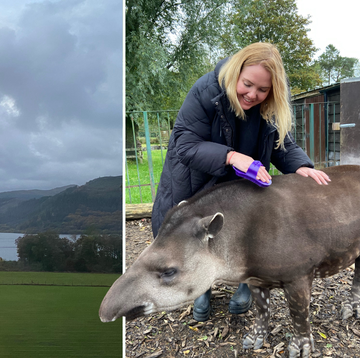 Armathwaite Hall Hotel and Spa Mindfulness With Animals review 2023 armathwaite hall hotel and spa mindfulness with animals review 2023
