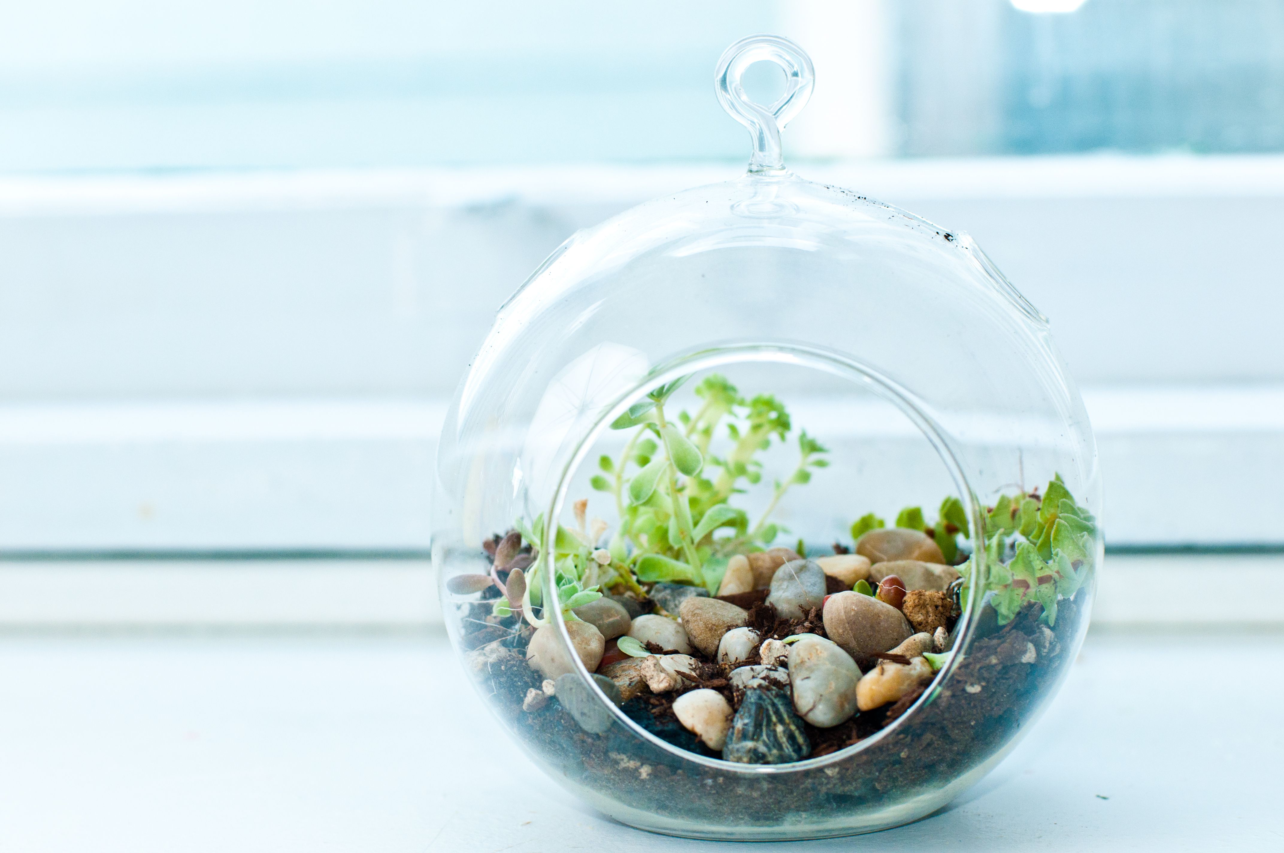 miniature-rock-garden-