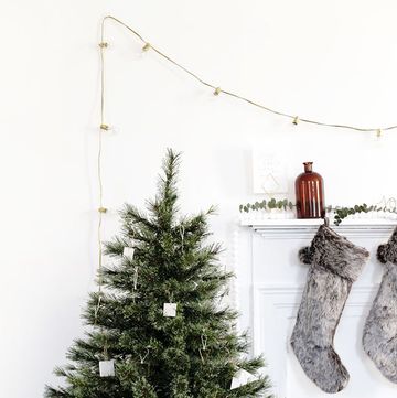 Christmas tree, Tree, oregon pine, Christmas decoration, Colorado spruce, Evergreen, Branch, Spruce, Fir, Christmas, 