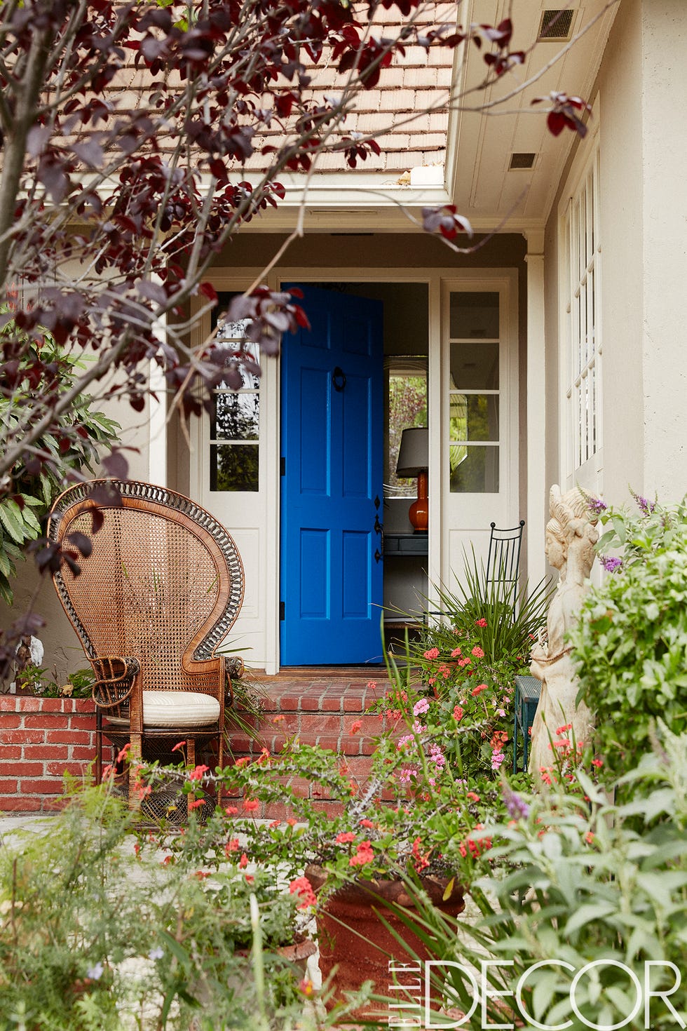 plant, property, house, door, real estate, building, shrub, home, garden, home door,