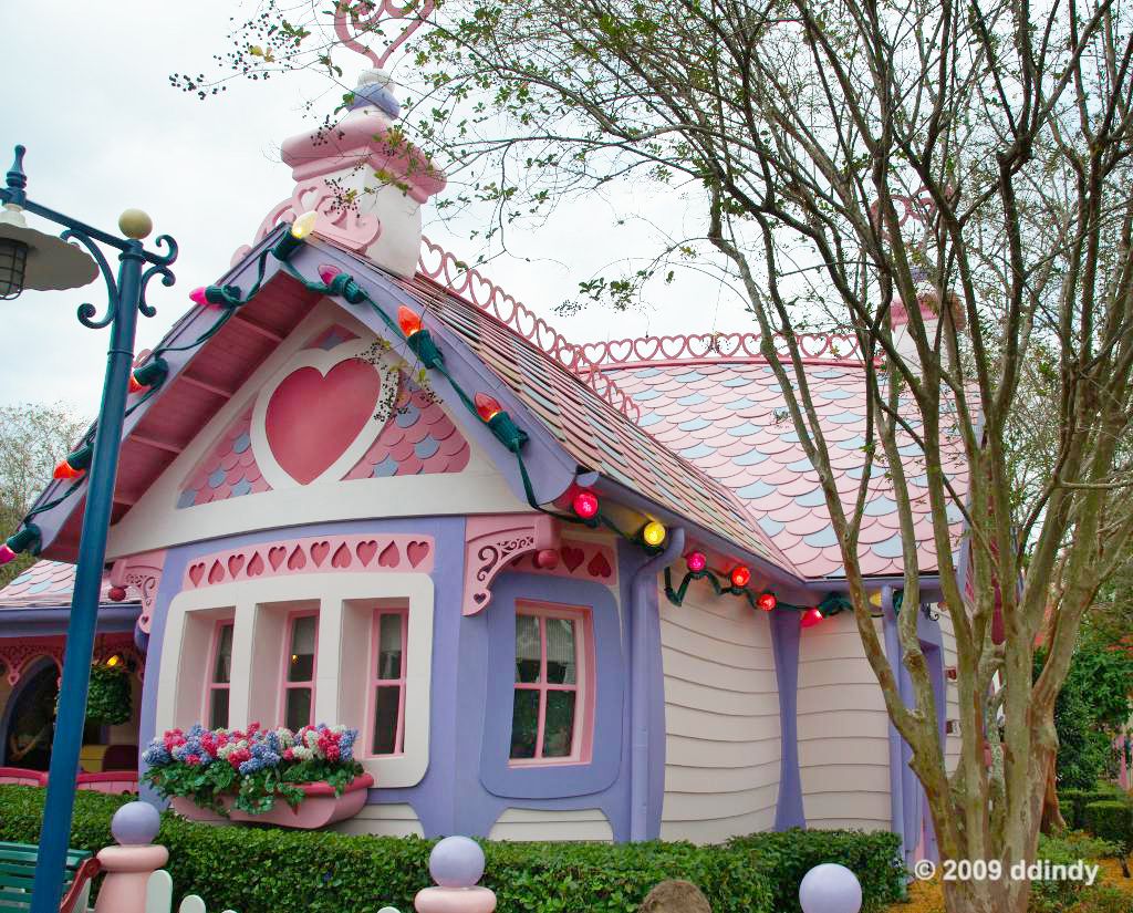 minnie mouse pink house