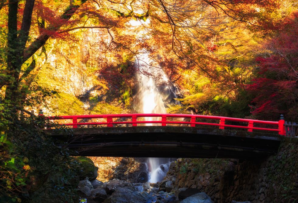 Minoh waterfall in autumn season, Osaka Japan, Beautiful waterfall in osaka japan