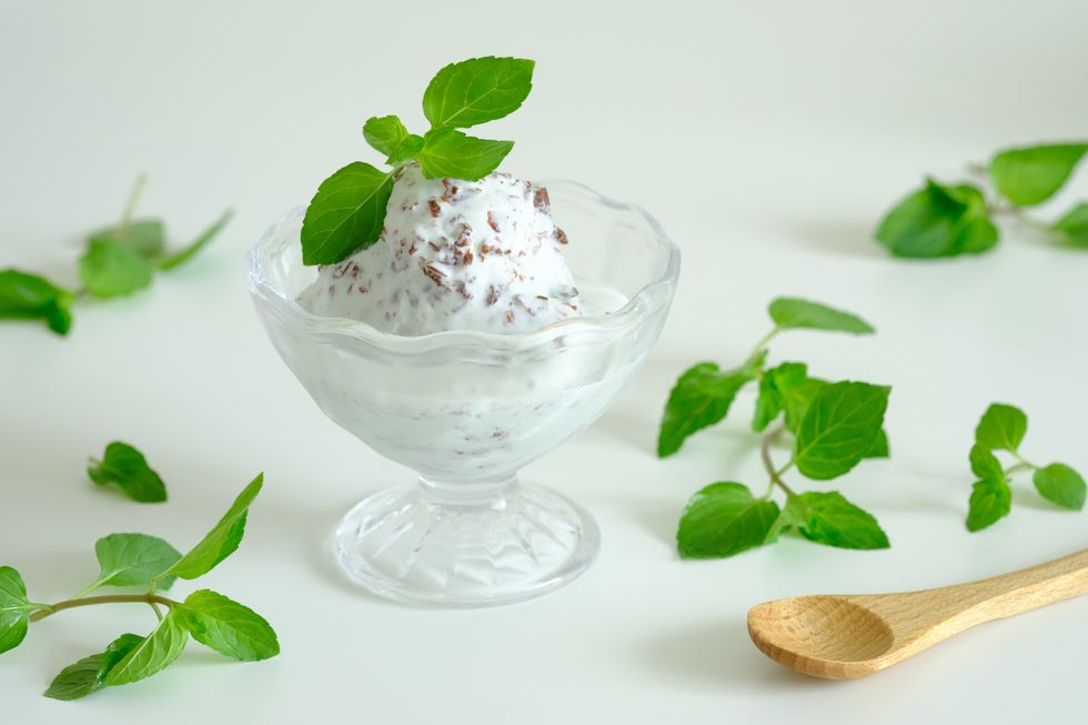 mint chocolate chip ice cream