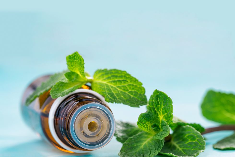 how to get rid of wasps mint essential oil