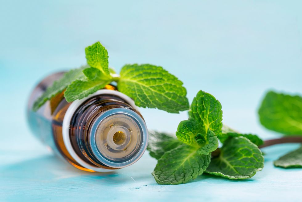 how to get rid of wasps mint essential oil