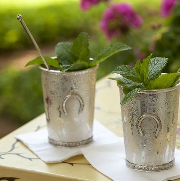 mint julep in kentucky derby style metal cup