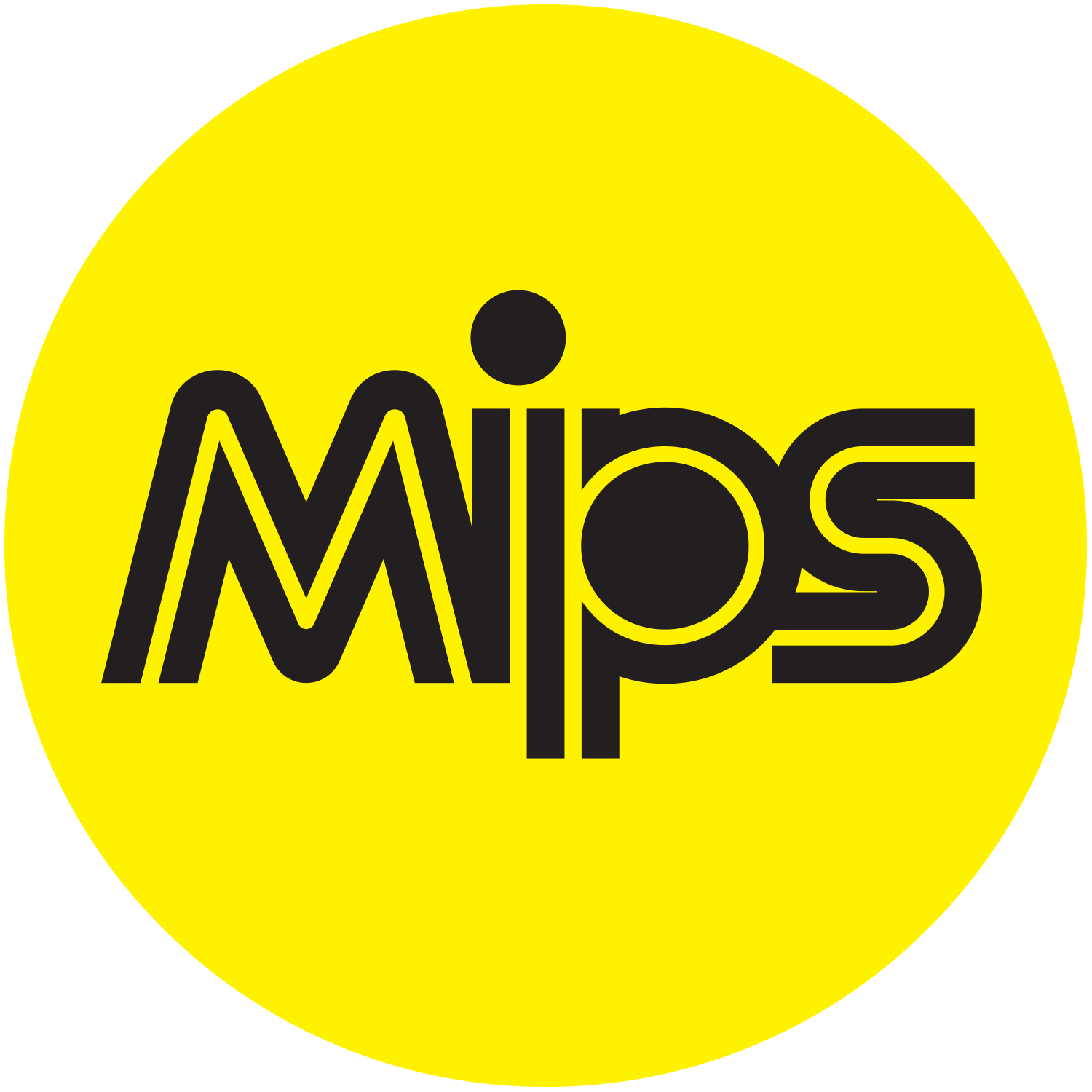 mips protection system