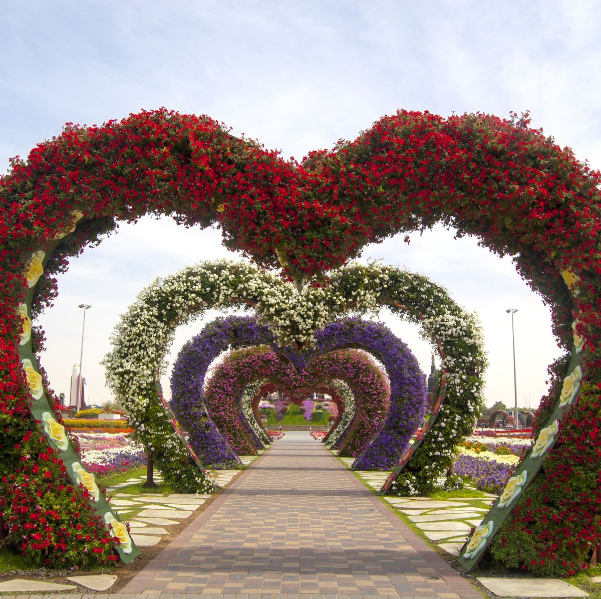 Dubai Miracle Garden A Virtual Tour Of