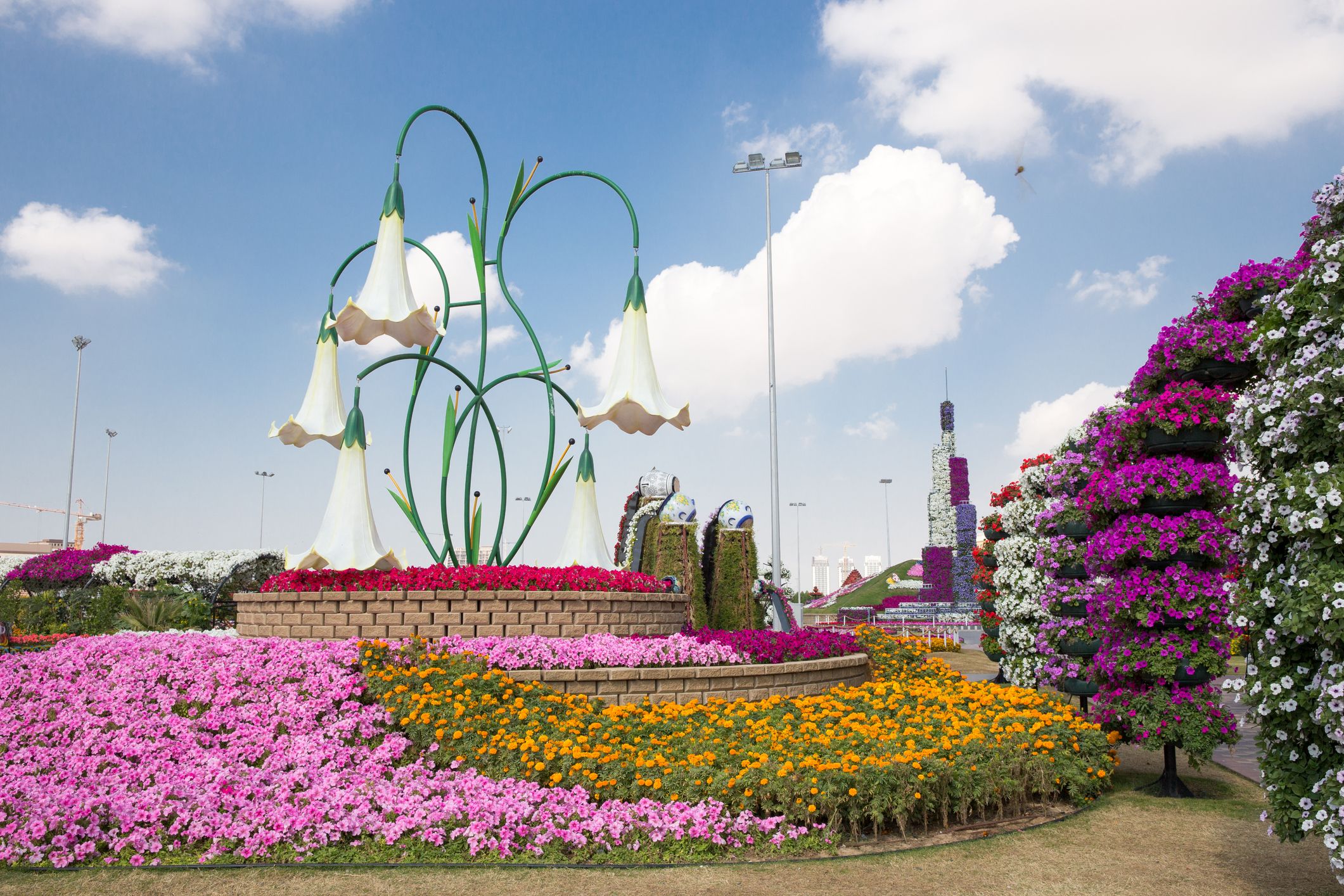 miracle garden in dubai royalty free image 1643063953