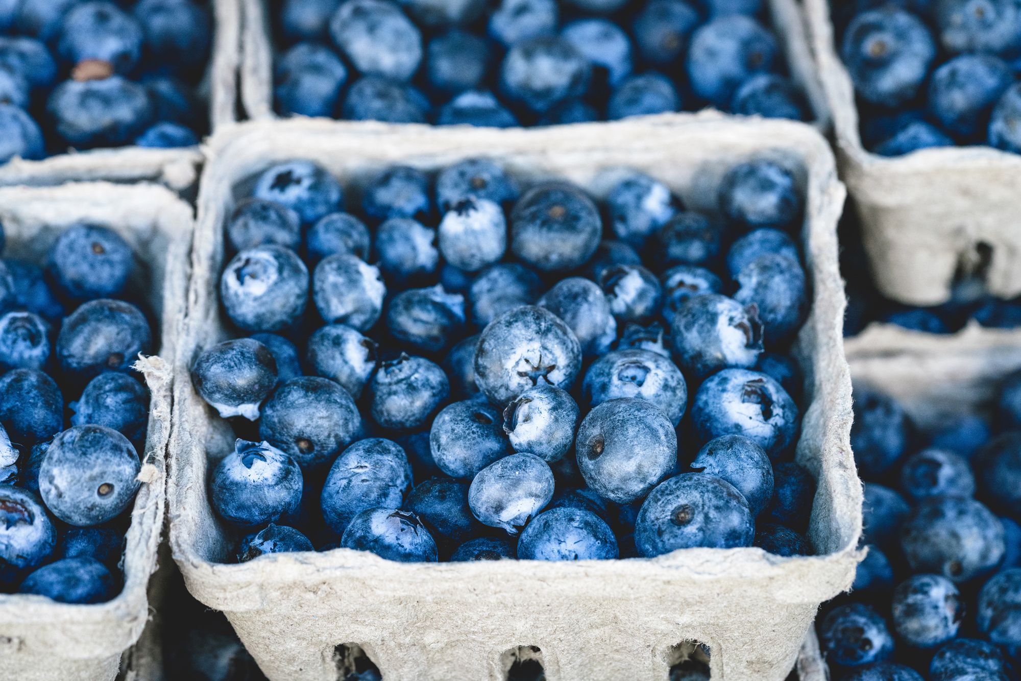 Blue, Bilberry, Blueberry, Berry, Superfood, Fruit, Prune, Food, Plant, Prunus spinosa, 