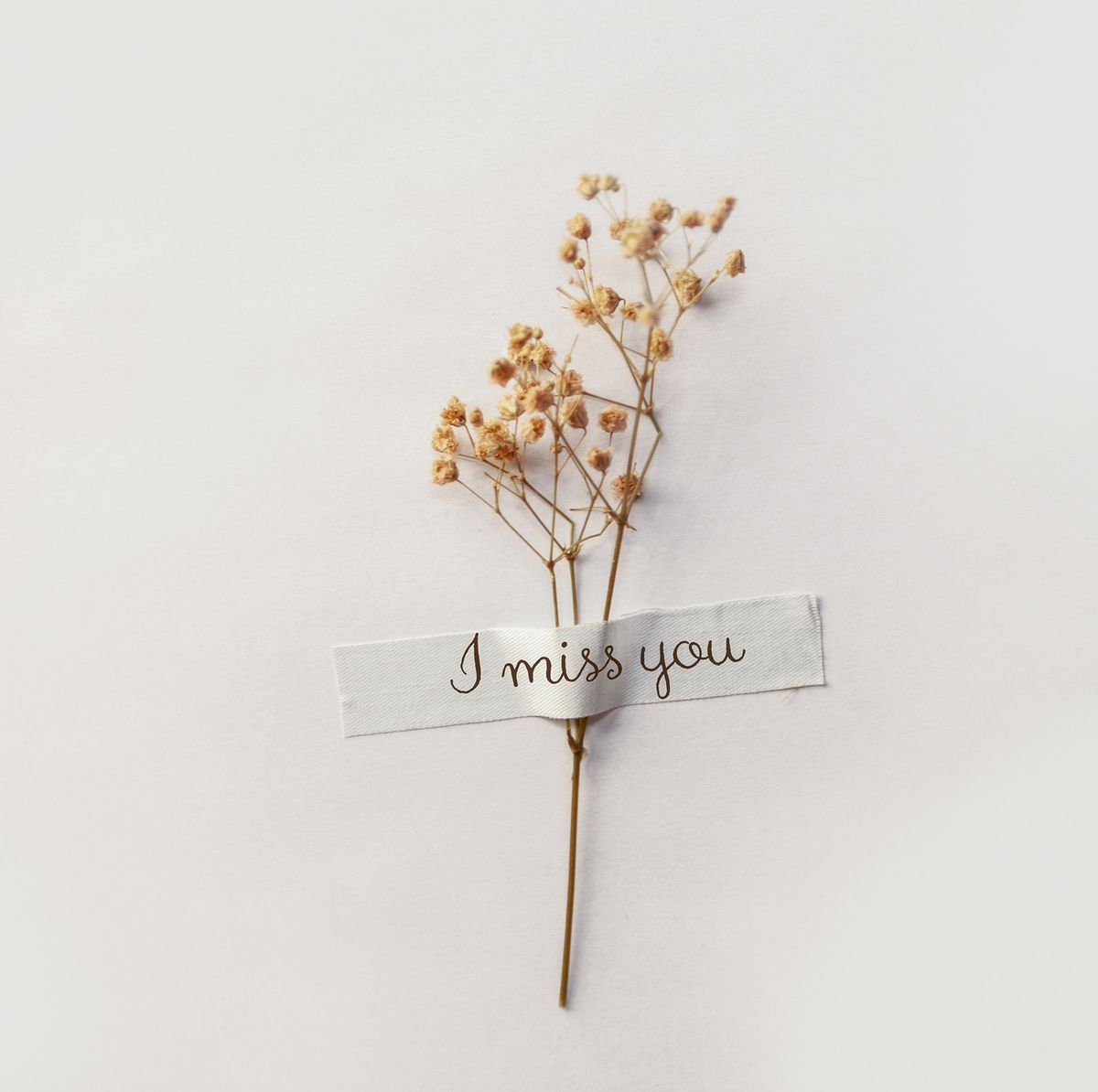 101 Best I Miss You Quotes Missing You Quotes For Him Her Family And Friends