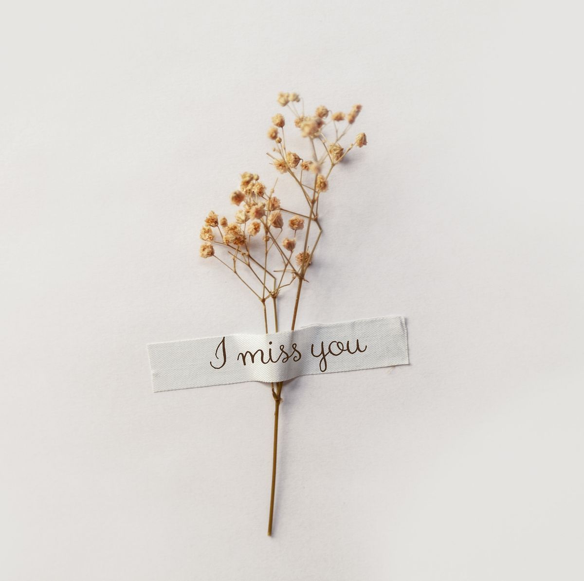 I Miss You and Missing You Quotes for Him, Her, Family, Friends